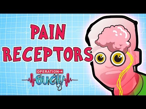 download lagu mp3 mp4 Touch And Pain, download lagu Touch And Pain gratis, unduh video klip Touch And Pain