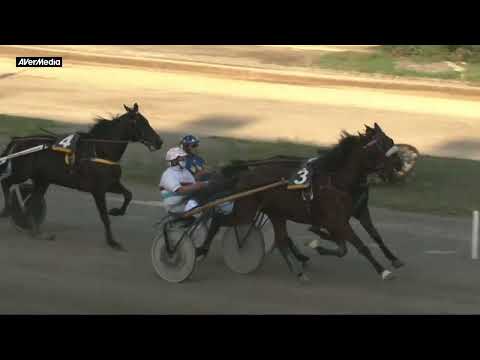 Corsa per proprietari senza licenza - lunedì 21 ottobre 2024