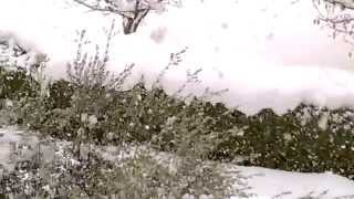 preview picture of video 'Bella nevicata del a Gualdo Tadino'