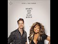 What S Love Got To Do With It Tina Turner Kygo Remix Pitched
