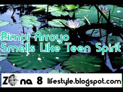 Pimpi Arroyo - Smells Like Teen Spirit