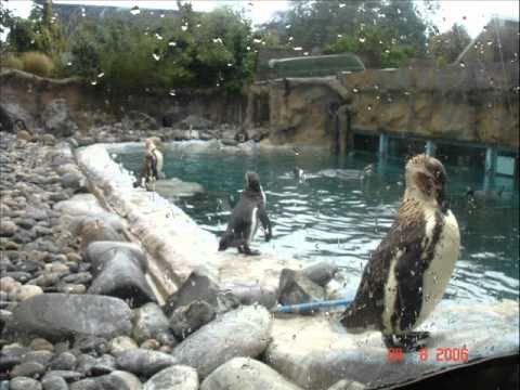 Wilton Felder & Bobby Womack (Crusaders).wmv - Someday we'll all be free