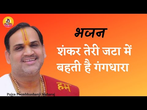 शंकर तेरी जटा से बहती है गंग धारा - भजन