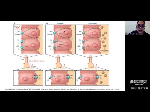Enfermedad Diarreica Aguda - Dra. Angela María López