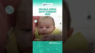 Kenapa Bayi Sering Menggigit, Orangtua Wajib Tahu Ciri Awal Anak sedang Tumbuh Gigi