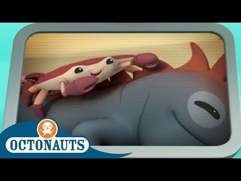 The Helpful Crabs