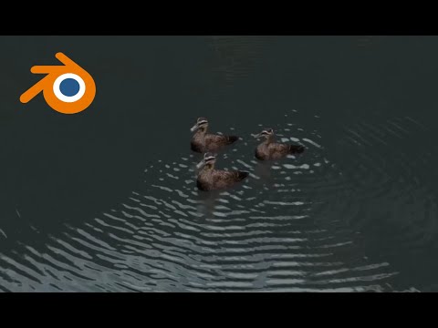 Animated Ducks in Blender 2.83