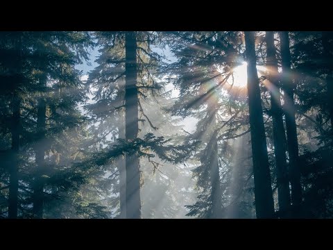 Theodor Rogalski (1901-1954): Two folk songs (1926)