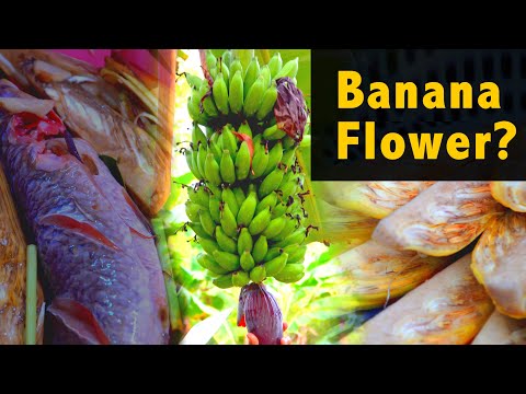 ASMR Cooking banana flower with Fish? || #youtube