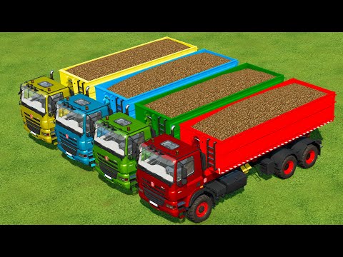 HARVESTING AND LOAD POTATOES WITH TATRA PHEONIX TRUCKS - Farming Simulator 22