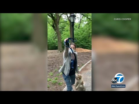 中央公園。紐約市白人婦女因狗繩問題向黑人男子報警｜ABC7。 (Central Park: White woman ID'ed as Amy Cooper in NYC calls police on black man over dog leash | ABC7)