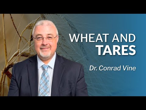 Wheat and Tares | Dr. Conrad Vine