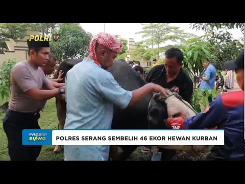 POLRES SERANG SEMBELIH 46 EKOR HEWAN KURBAN
