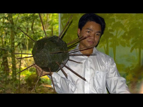 5 Scariest Booby Traps of the Vietnam War
