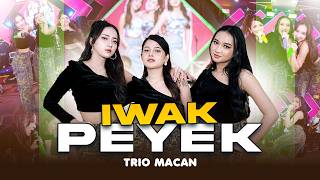 Download lagu TRIO MACAN - IWAK PEYEK mp3 Download lagu TRIO MACAN - IWAK PEYEK mp3