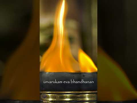 India's Ancient Mahamrityunjaya Mantra