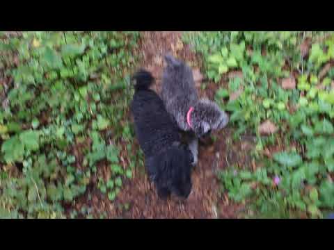 1453 Fara, Kocevje, Slovenia 18 Sep 2014