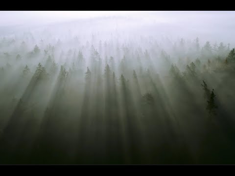 KR3TURE - pretty things (w/ Heather Christie, feral fauna)