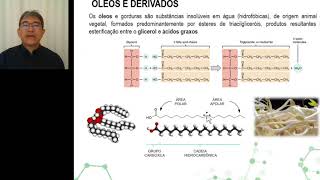 Miniatura do vídeo