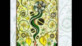 Steve Earle- I Feel Alright.wmv