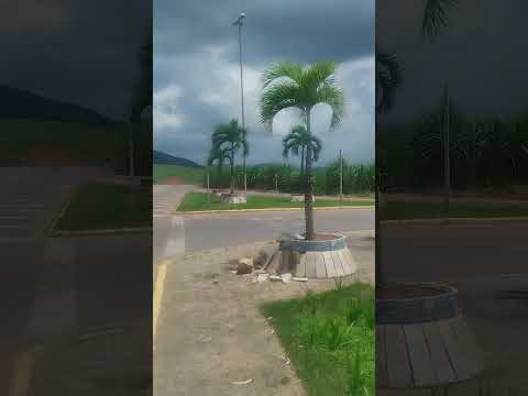 cidade de aliança zona da mata de Pernambuco