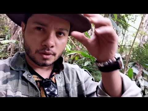 En casa de Katie James