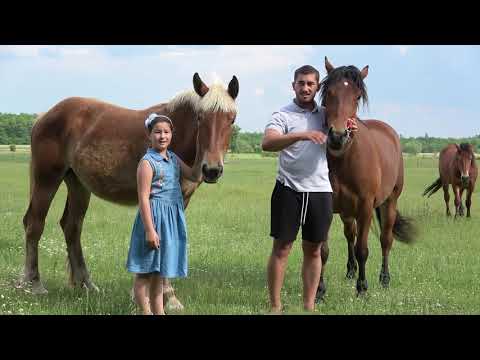 Caii domnului Florin de la Valea lui Mihai, Bihor 2020 Nou!!!