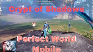 Perfect World M Crypt of Shadows cultivation dungeon Gameplay