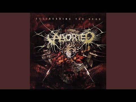 Exhuming the Infested - Aborted