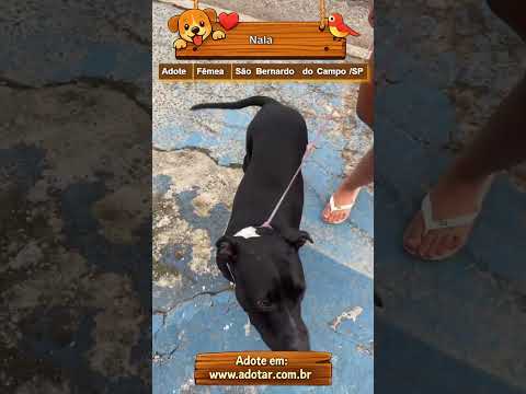 Vídeo de Nala