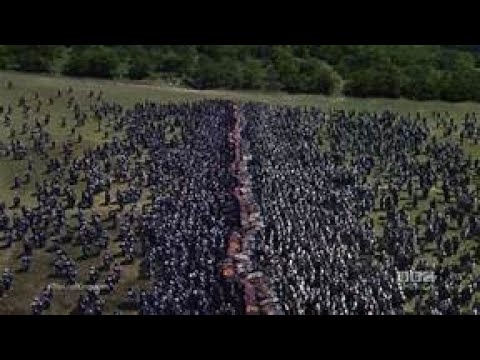 the final battle among vikings and saxons ( the last kingdom)