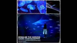 Bring me the horizon - (Braille For Stevie Wonder's Eyes only)