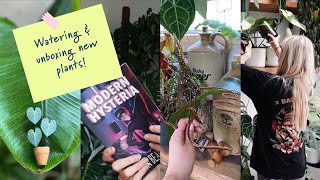 HOUSEPLANT WATERING & UNBOXING! | HEW HOUSEPLANTS!