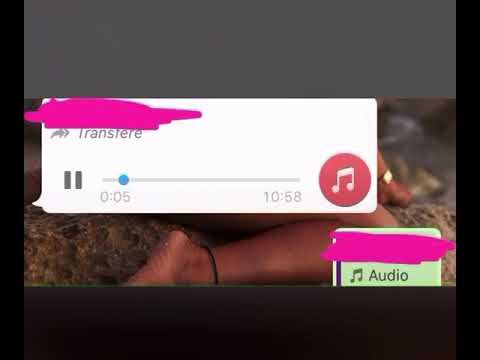 Buzz de Mata et Wylix