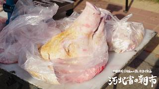 【中国/河北省】観光客0のローカルすぎる朝市で豚の頭見たり地元メシを食べる