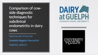 Comparison of cow-side diagnostic techniques to assess subclinical endometritis in dairy cows