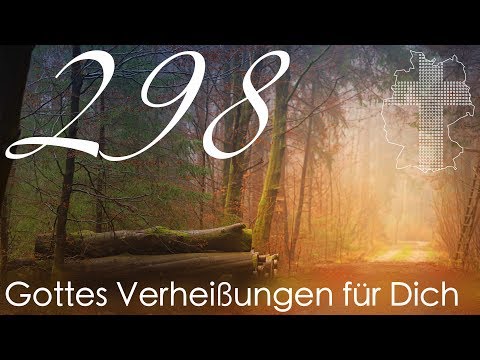 Gottes Verheißungen für Dich - Sprüche 3,12 | Videokalender 298/365 - Deutschland braucht JESUS