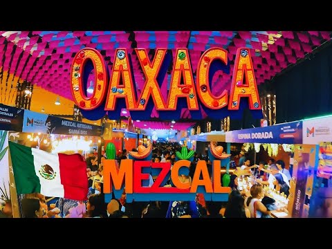 Exploring the Mezcal Fair in Oaxaca City | Nightlife in Mexico 🇲🇽 #mexicovlog #MezcalTasting
