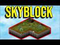 I Tried Project Zomboid S NEW Skyblock Challenge