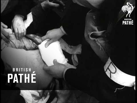 Selected Originals - Leeds A.F.S. Exercise (1952)