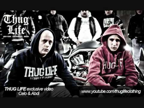 Celo 385 & Abdi süd