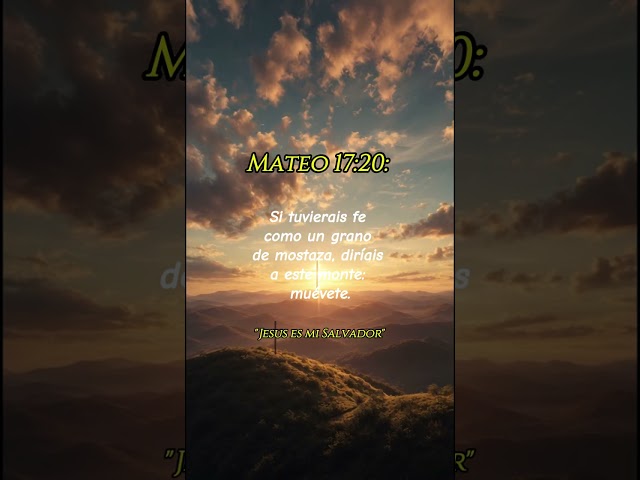 Vídeo relacionado con Vivaday Collar Verde Luminoso Glow-in-the-Dark Collar Semilla de Mostaza Fe Puede Mover Montañas Mateo 17:20 Collares para Cristianos Joyería Versículo Bíblico Afirmación para Protección