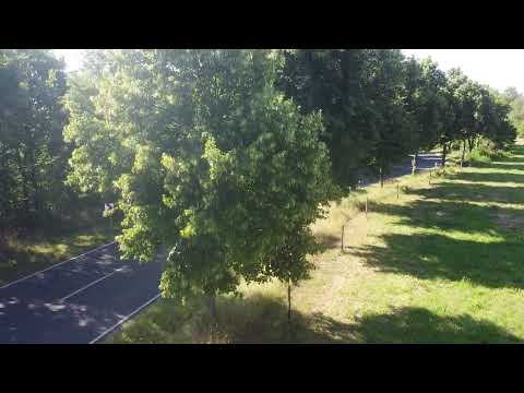 Drohnenflug bei Holzbach