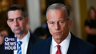 Trump wants 'control of everything,' GOP strategist says as Congress faces pressure