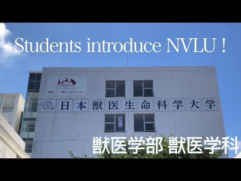 動物科学科 【獣医学科】日獣生活を擬似体験！日獣のリアルが丸わかり！