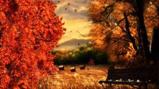 Andrew Bird   *The Privateers*