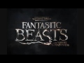 Fantastic Beasts and Where to Find Them Hedwig s Theme Extended Unofficial