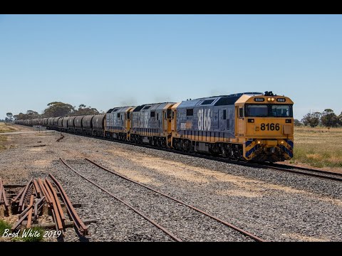 8166, 8135 and 8164 on 7934V Birchip grain at Cope Cope & St. Arnaud- 21/10/19