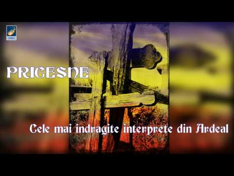 PRICESNE 2025 - La umbra Crucii Tale