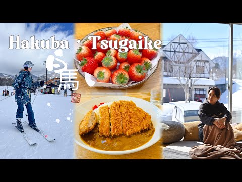HAKUBA TSUGAIKE (Part 1) 7D6N Japan Snow trip ✈️ Rented this amazing SKI IN SKI OUT house!⛷️ 🥃 🇯🇵